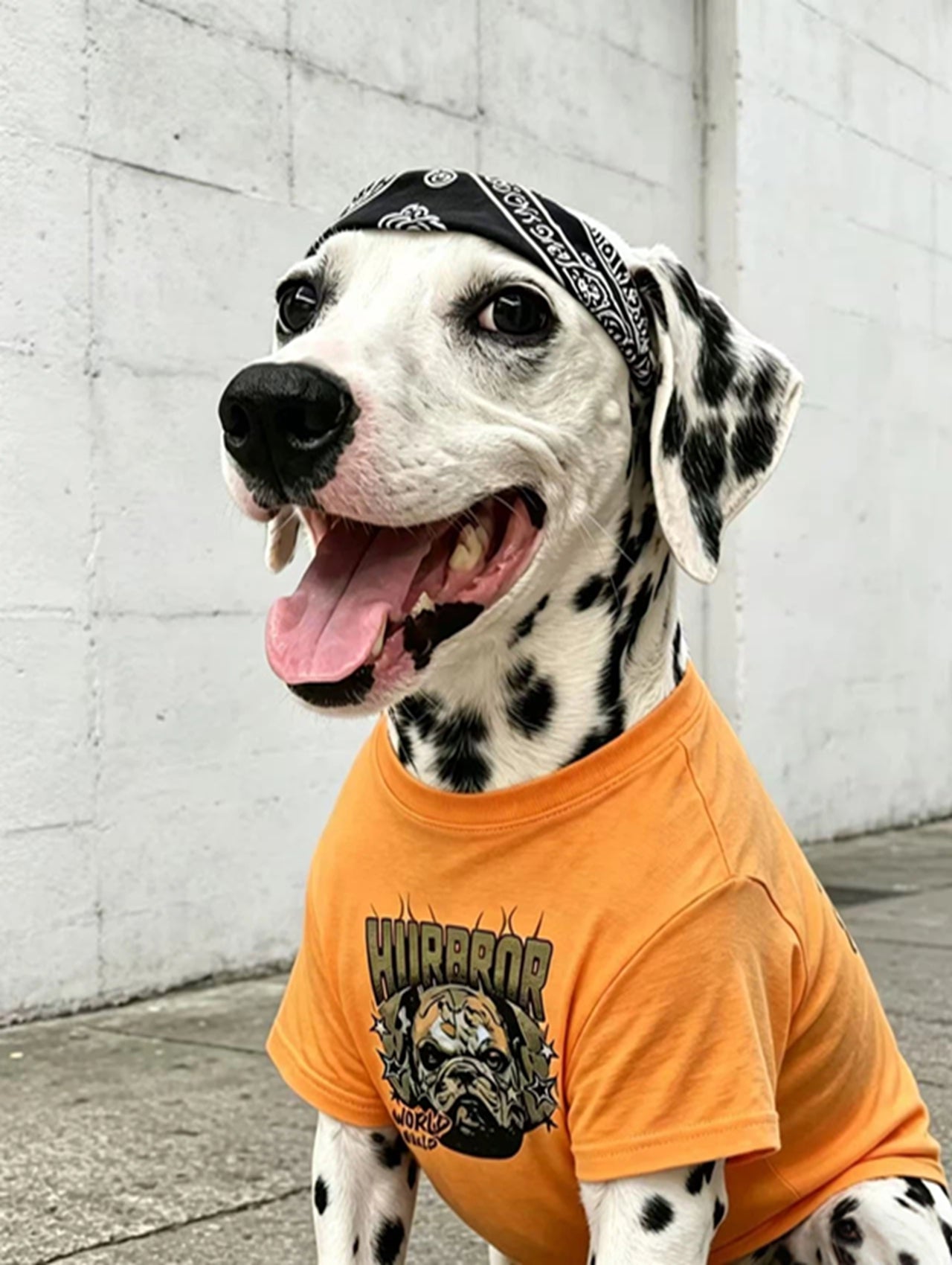 Matching Owner & Dog Streetwear T-Shirt Set - Orange