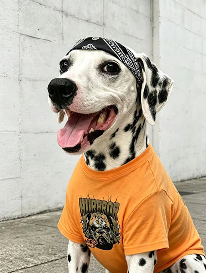 Matching Owner & Dog Streetwear T-Shirt Set - Orange