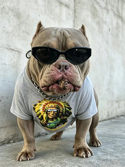 | Retro Native American Graphic Streetwear Set