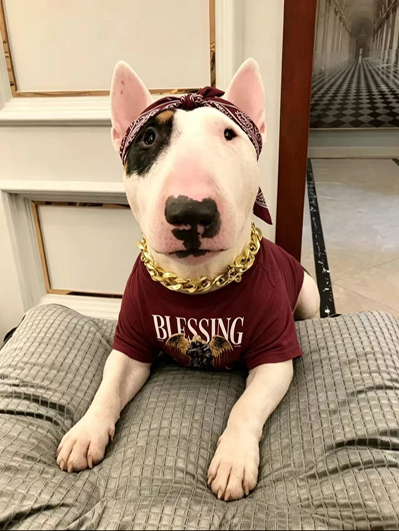 "Blessing" Graphic Streetwear Tee set