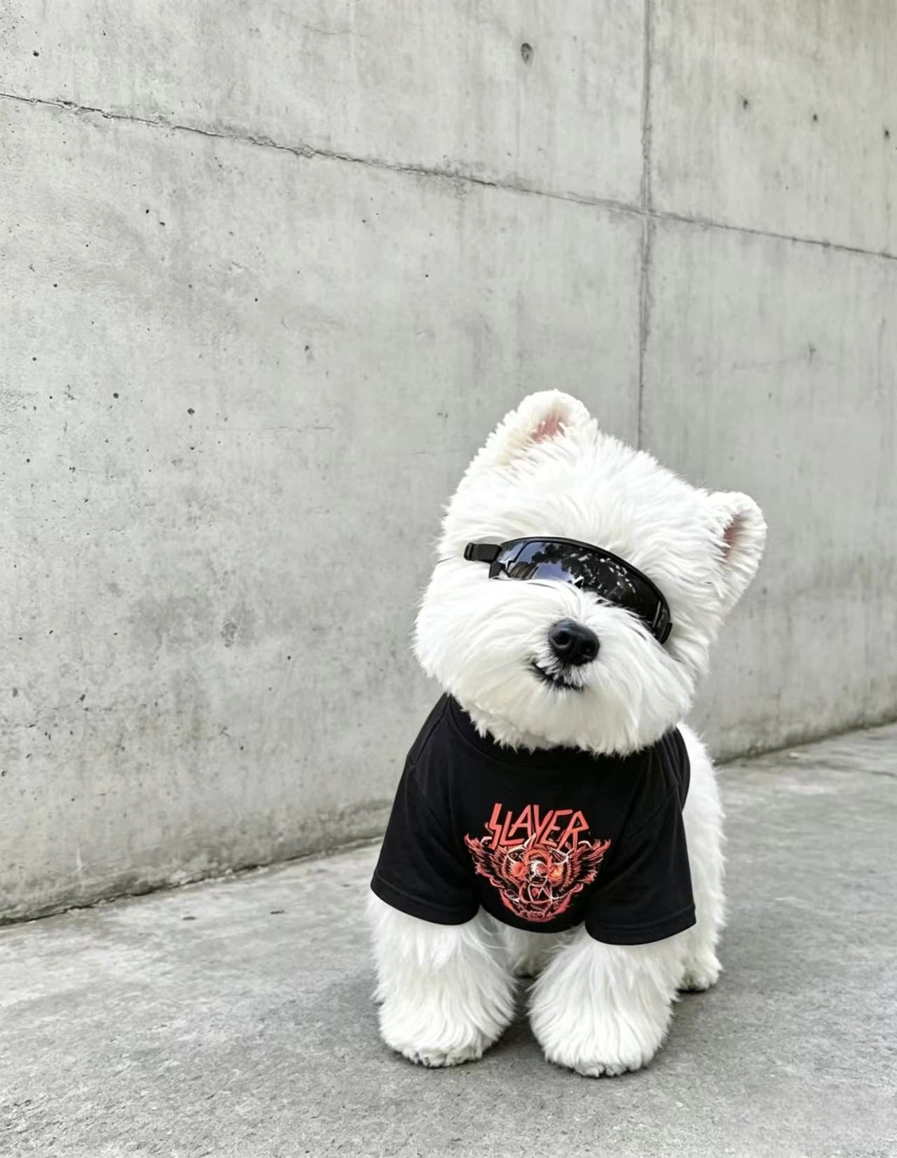Slayer Retro Matching Tee Set (All Breeds)