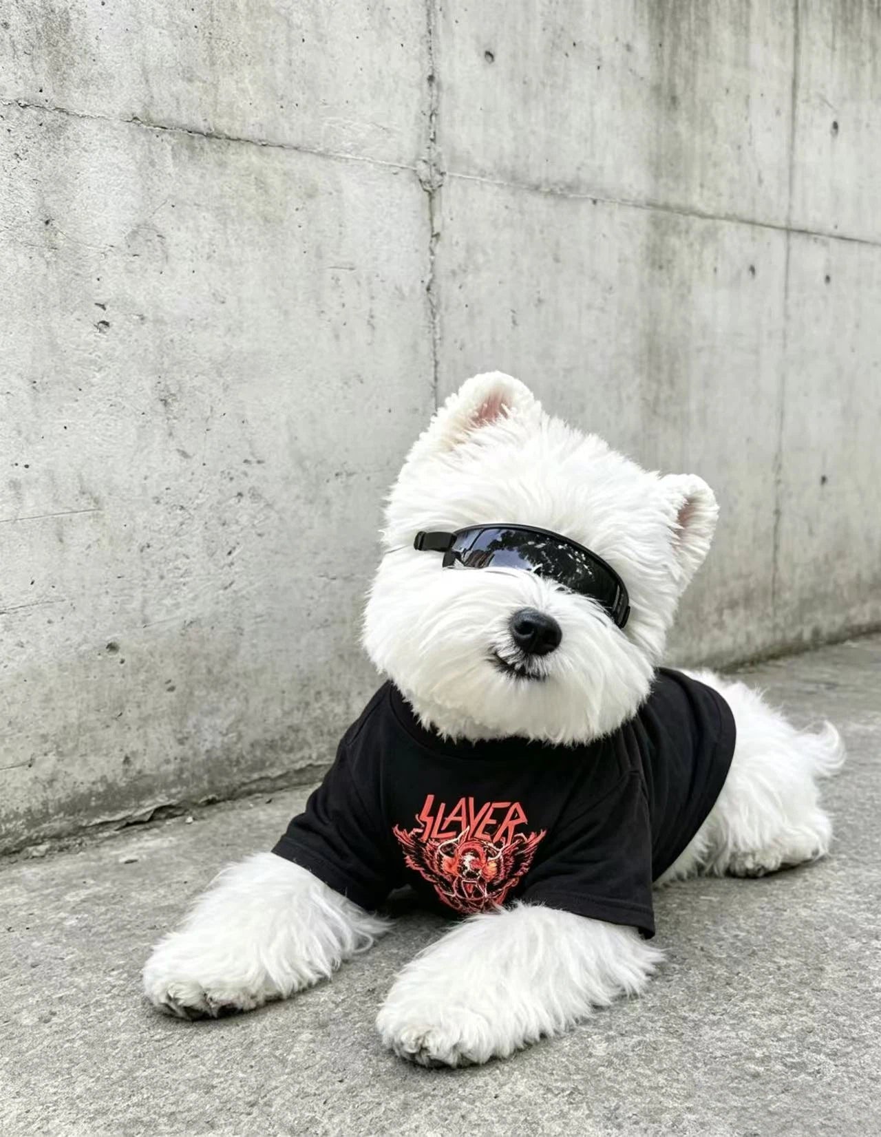 Slayer Retro Matching Tee Set (All Breeds)
