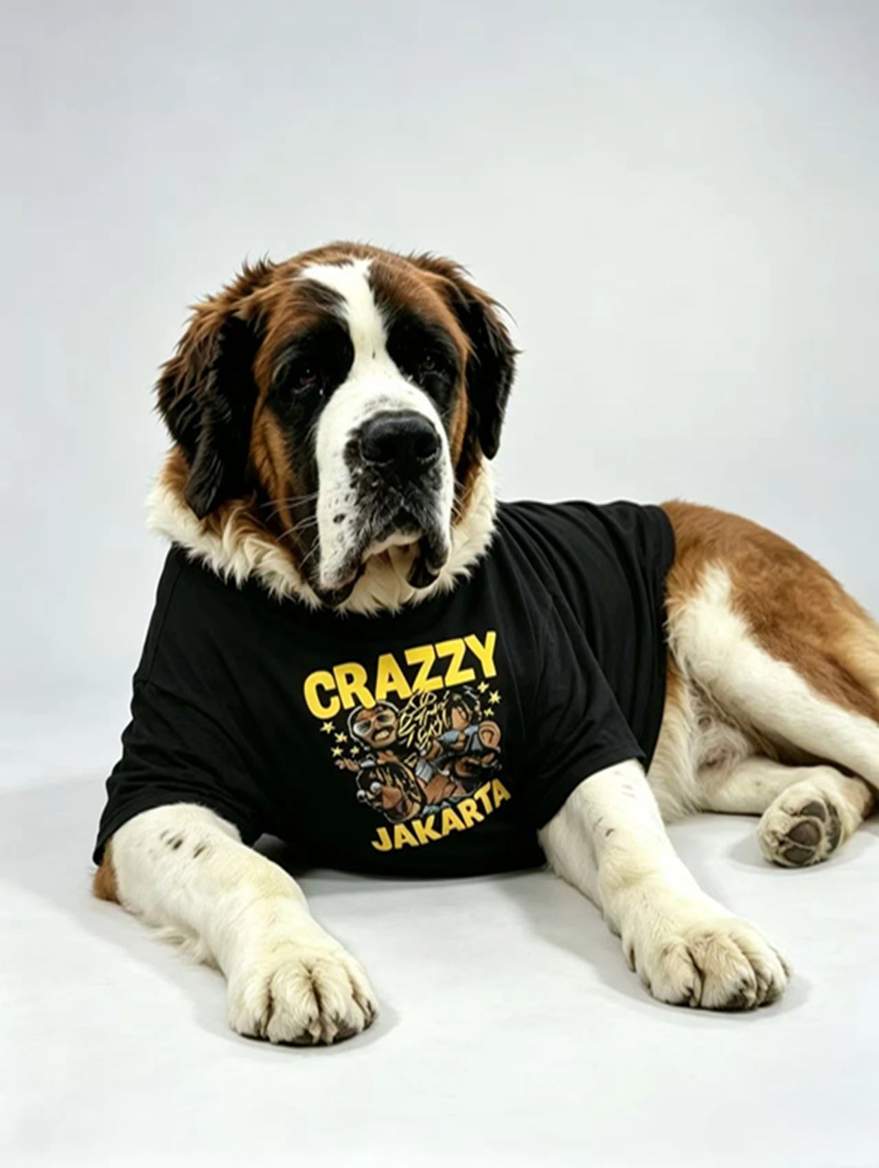 Crazzy Streetwear Black Matching Tee Set