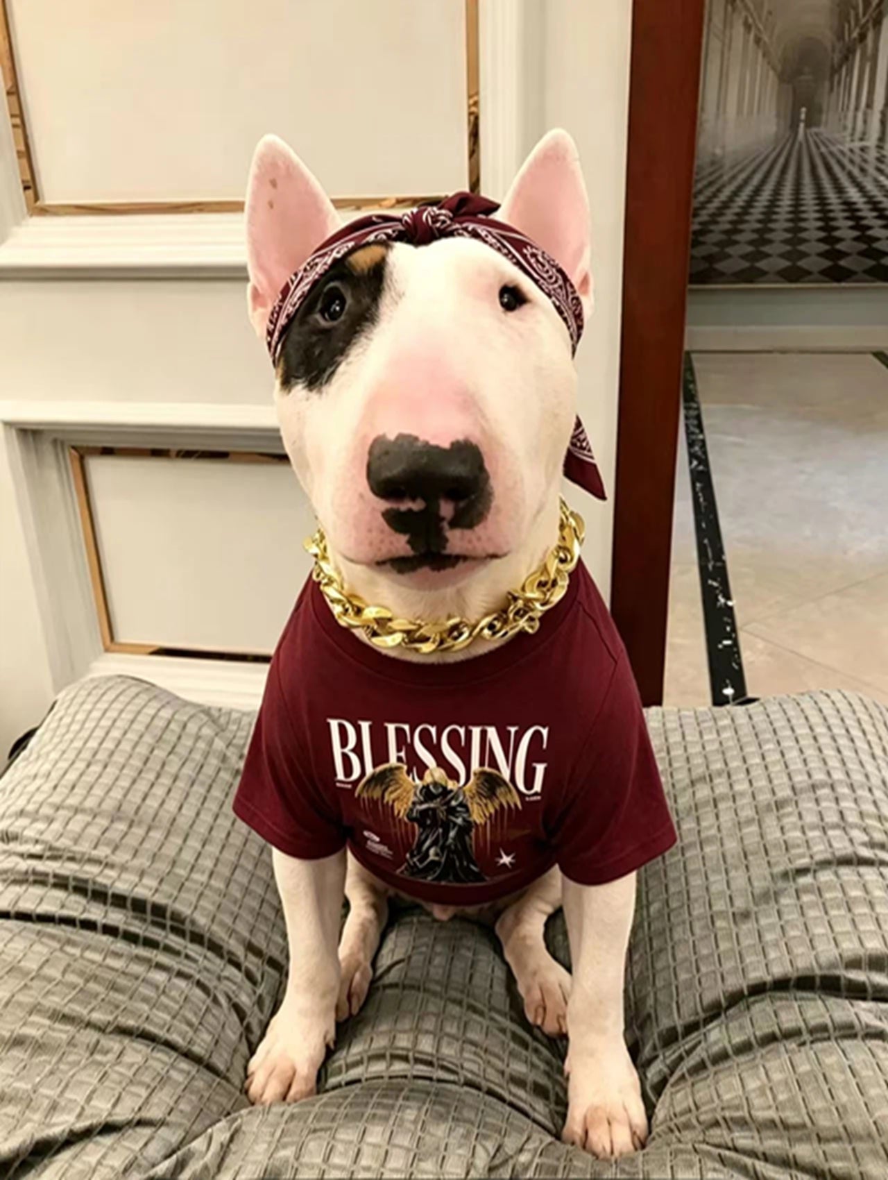 "Blessing" Graphic Streetwear Tee set