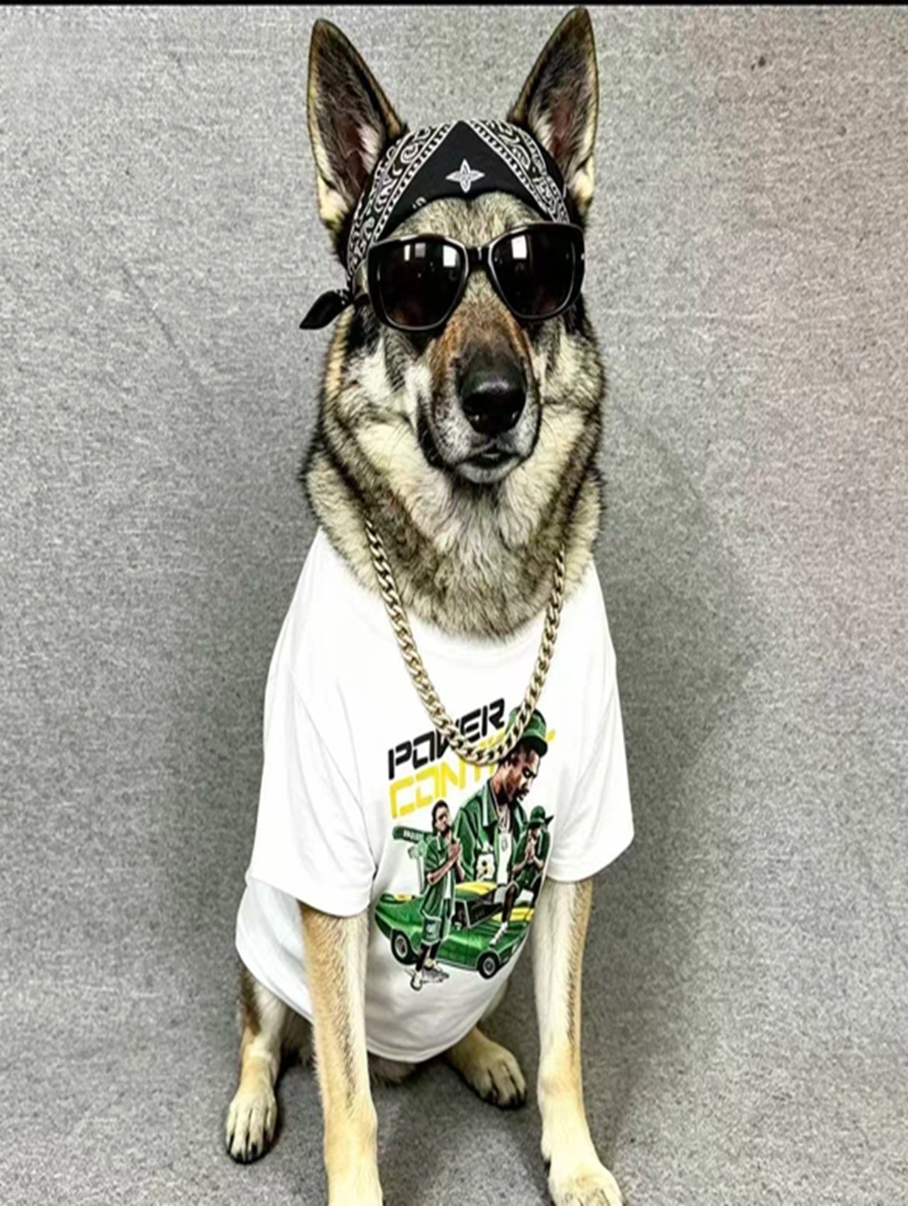 Retro Streetwear "Power Joint" Graphic Tee