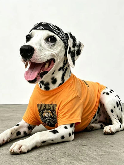 Matching Owner & Dog Streetwear T-Shirt Set - Orange