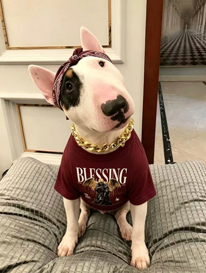 "Blessing" Graphic Streetwear Tee set