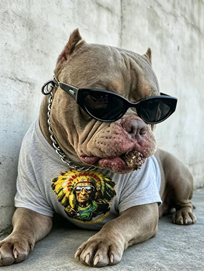 | Retro Native American Graphic Streetwear Set