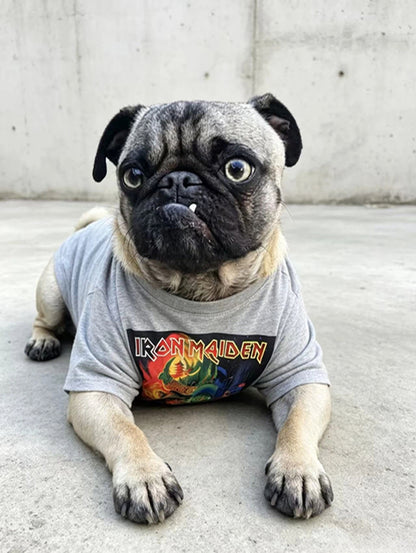 Retro Streetwear Graphic Tee for Humans & Dogs